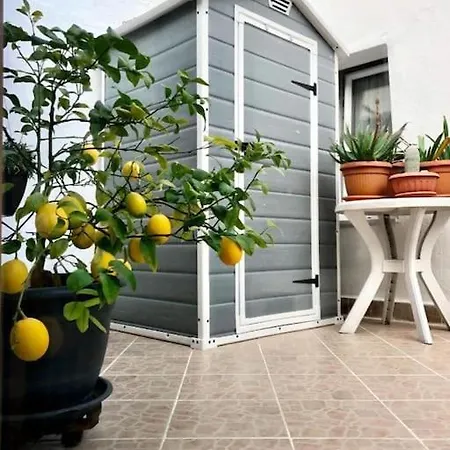 House In Centar With Terrace *