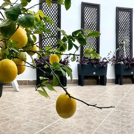 Сasa de vacaciones House In Centar With Terrace Split
